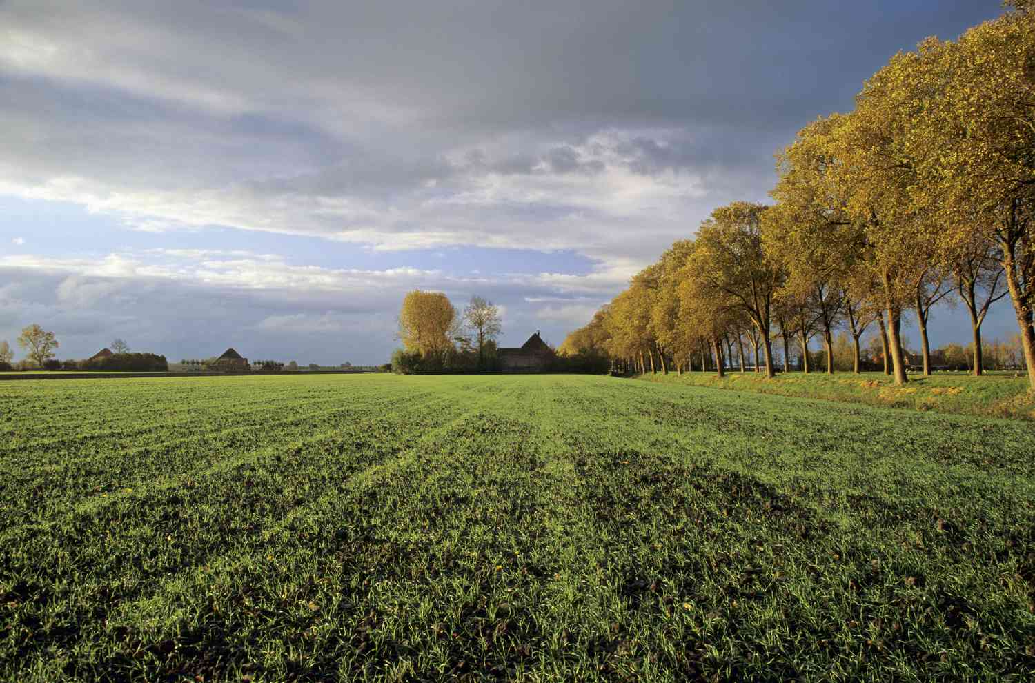 1031 EXCHANGES ARE EVOLVING: WHY RURAL LAND IS BECOMING THE NEXT BIG ALTERNATIVE TO DSTs