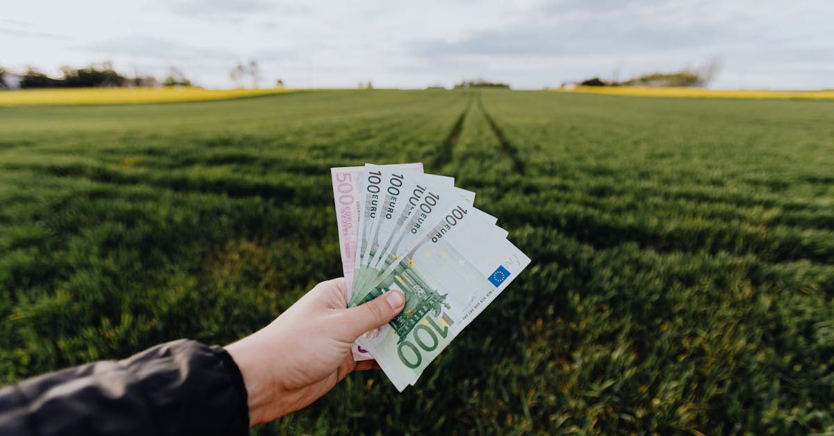 Capitalizing on the U.S. Farmland Investment Boom: A Guide for Raw Land Investors