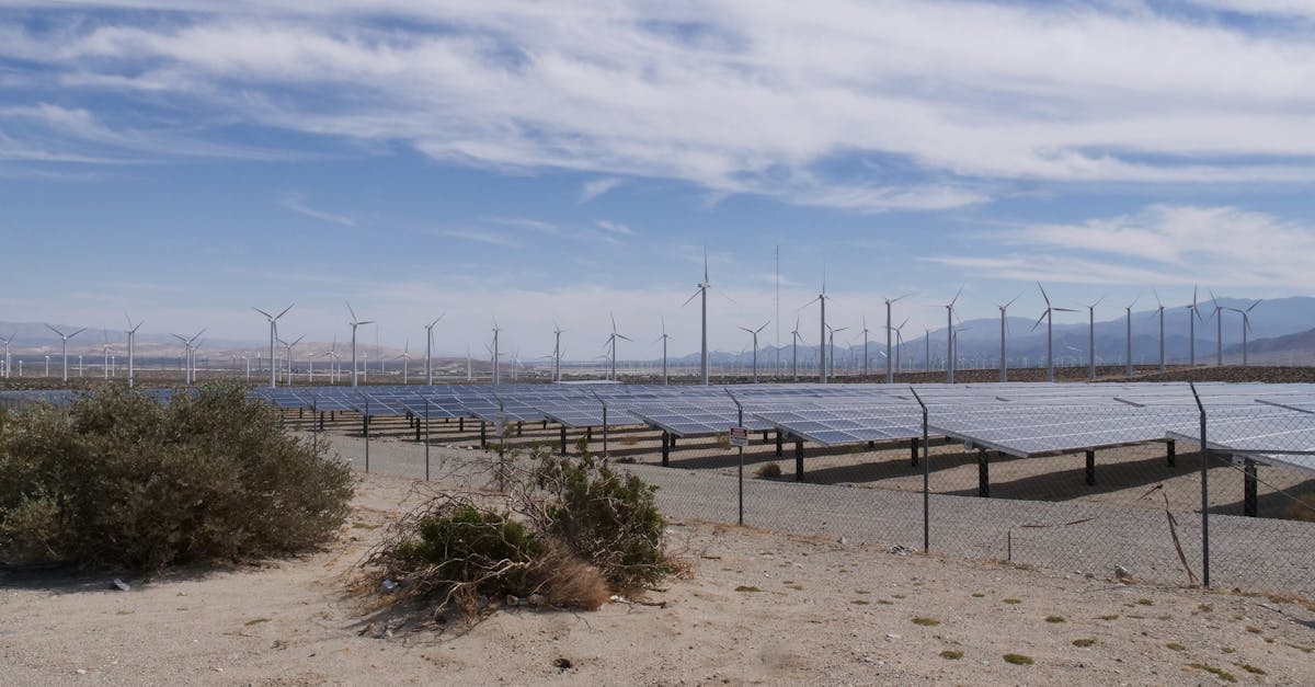 A Landowner’s Guide to Leasing Land for Solar and Wind Energy Projects
