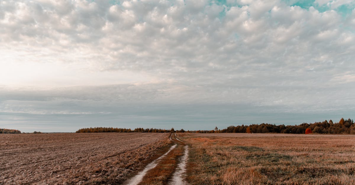 Recreational Land Buying Checklist for Fall 2025: Access, Water, and Seasonal Use Explained