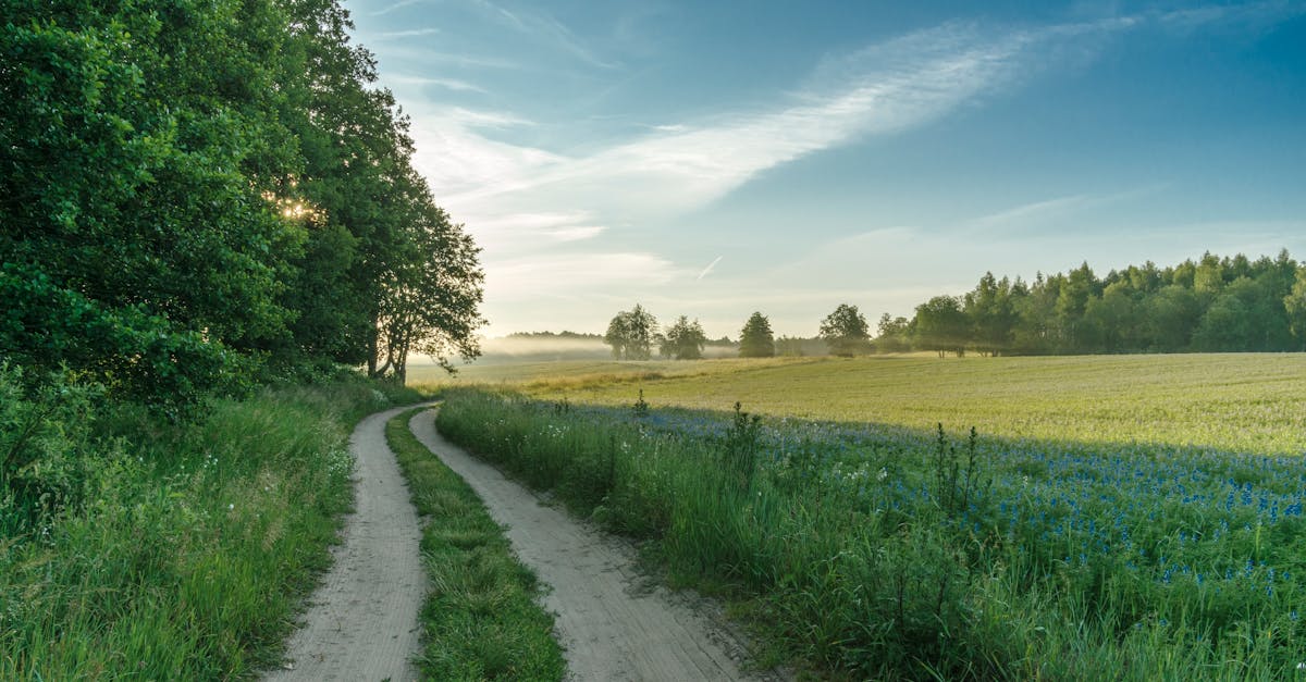 Navigating Land Parcel Access: Legal Rights, Easements, and Solutions for Landowners and Buyers