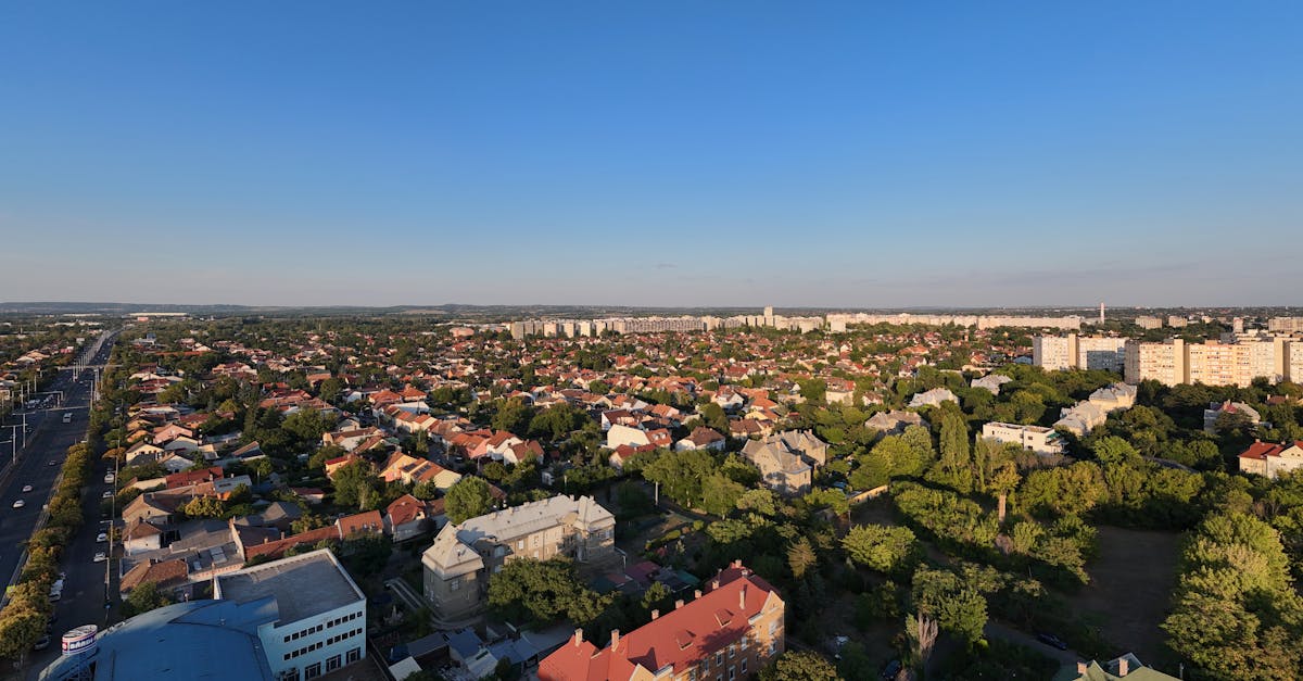 How To Prepare Raw Land for Sale: Steps to Maximize Value and Attract Buyers