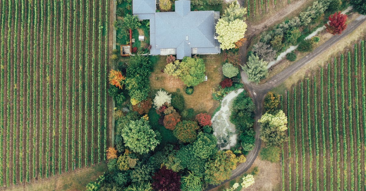 5 Ways Drones Are Revolutionizing Vacant Land Assessment for Buyers and Investors